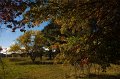 autumn 3